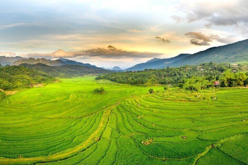 Shared Pu Luong Bamboo Bridge, Village Life and Hieu Waterfall