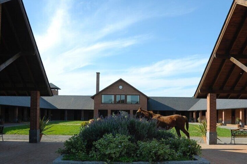 Unforgettable Horse Riding in Argentine Countryside