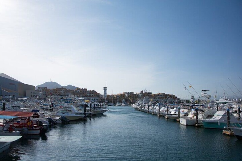 Los Cabos Private City Tour with Guide