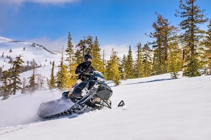 Tahoe Snowmobiling Tours