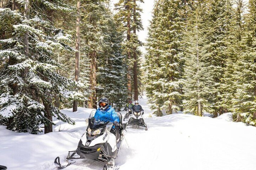 Tahoe Snowmobiling Tours