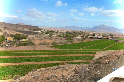 Fuerteventura: 観光アイランドツアー。 息をのむようなフォトストップ!