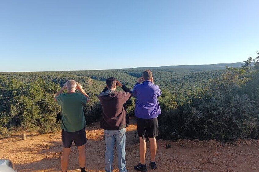 Addo Elephant National Park and Giraffe Walk Tracking Safari