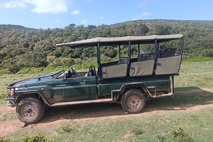 Addo Elephant National Park and Giraffe Walk Tracking Safari 