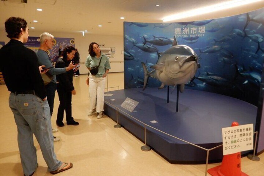 Tuna Auction in Toyosu and Tsukiji Fish Market Tour