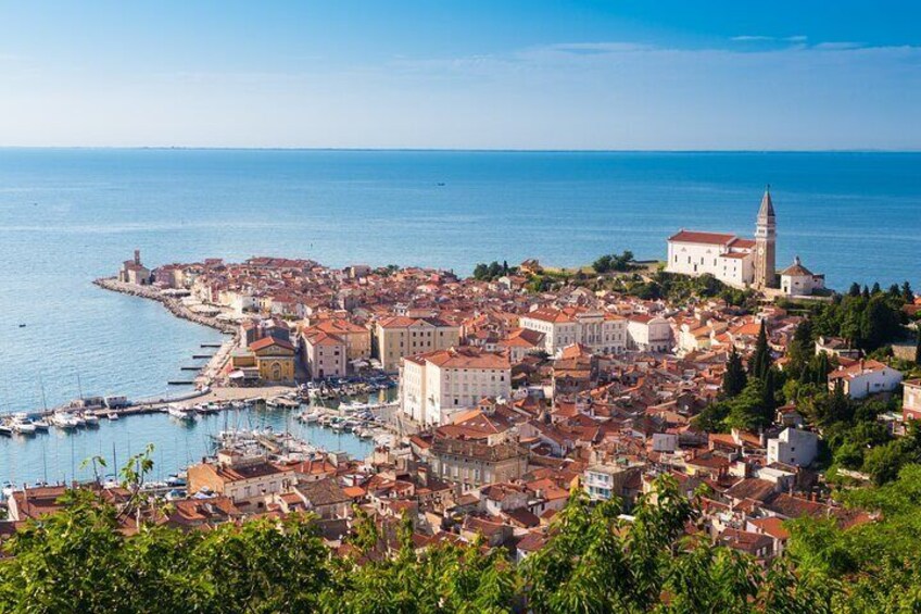 Slovenian Coast Guided Tour from Ljubljana