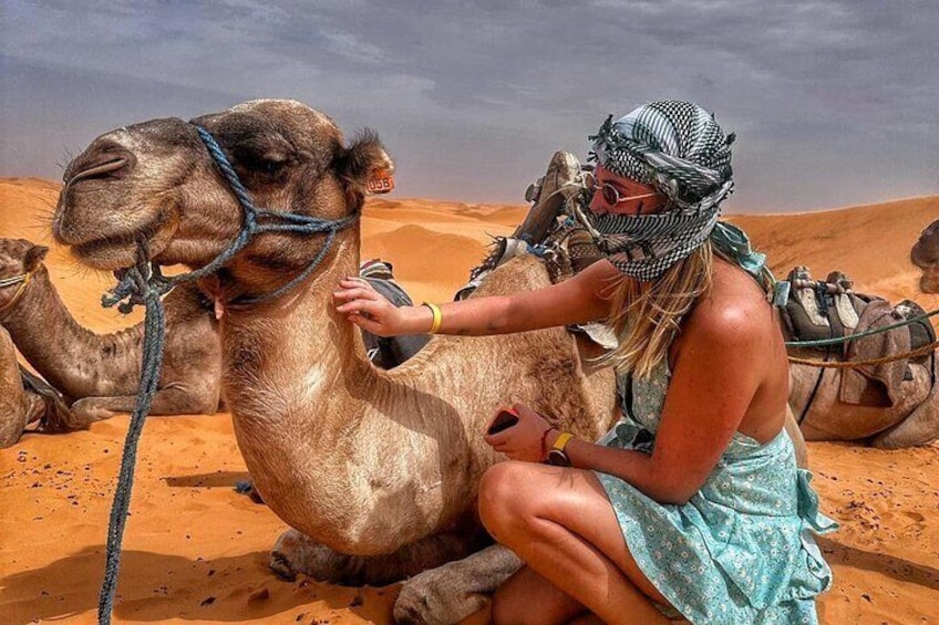 Explore the desert of Ksar Ghilane and Tataouine in a day