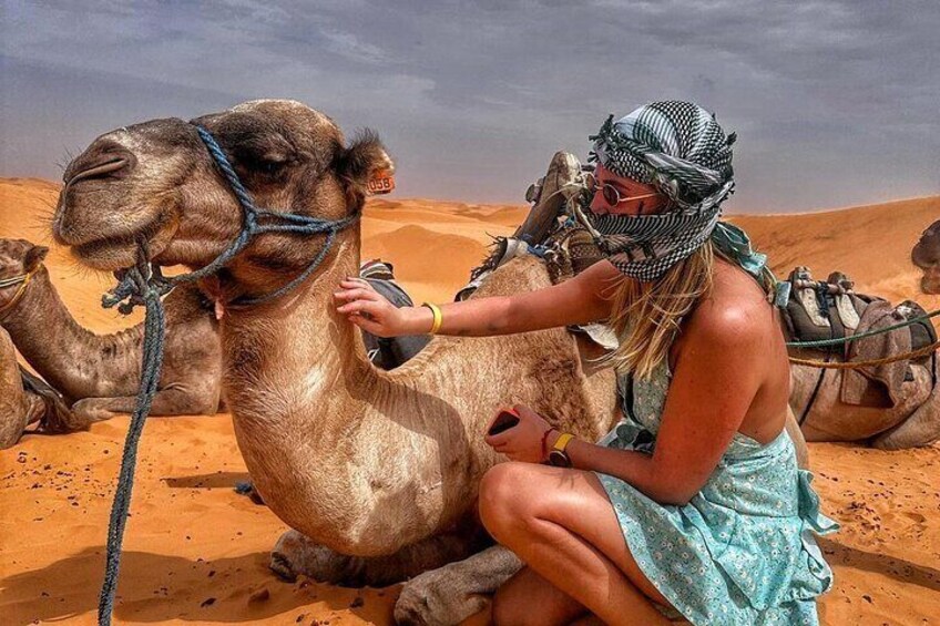 Explore the desert of Ksar Ghilane and Tataouine in a day