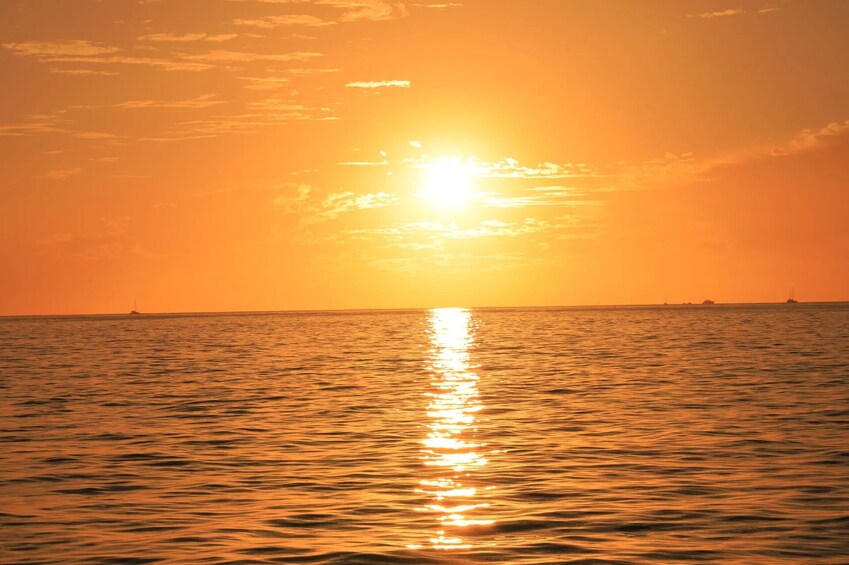Shared Sunset Catamaran at Los Cabos with Open Bar, Dinner & Live Music