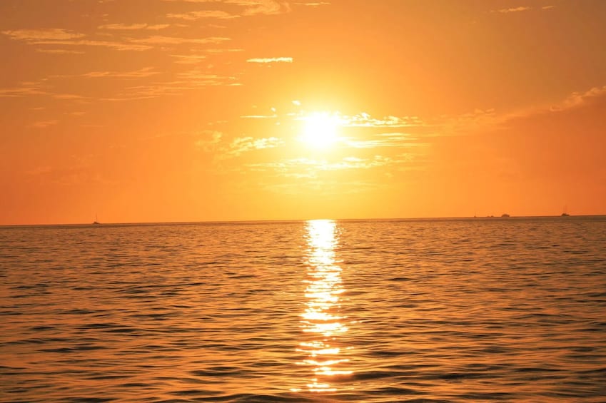 Shared Sunset Catamaran at Los Cabos with Open Bar, Dinner & Live Music