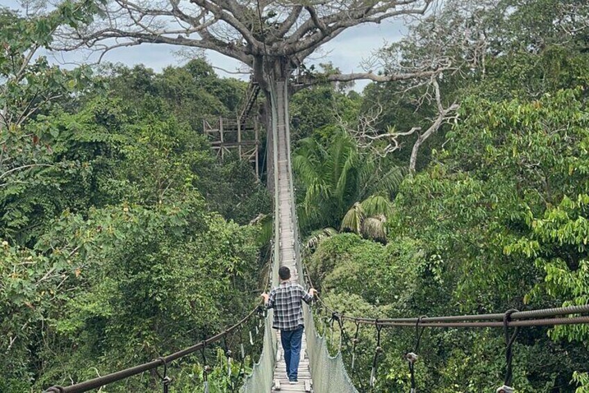 Hike between trees