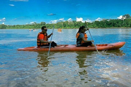 Canopy Walkway, Zip Line, Kayak, and Monkey Island in Tambopata.