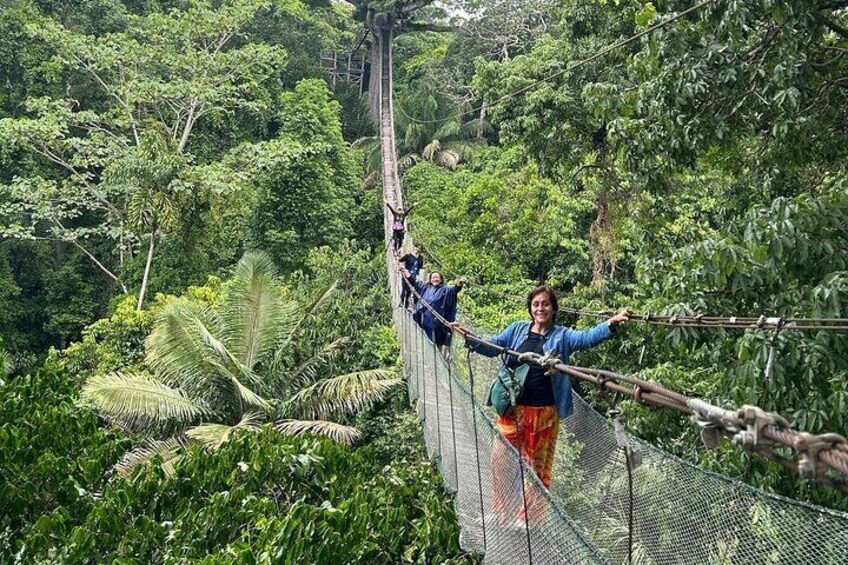 Canopy 