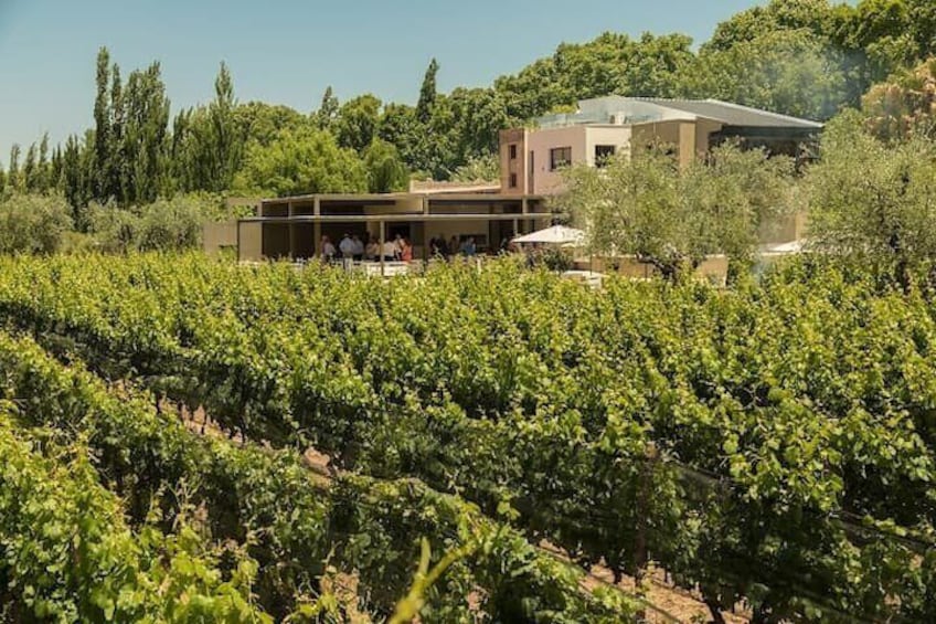 Tour of 3 Wineries in Lujan de Cuyo with Lunch included