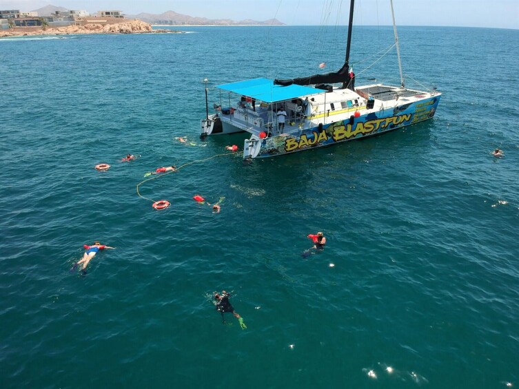 Shared Snorkeling Catamaran with Open Bar & Music - Los Cabos