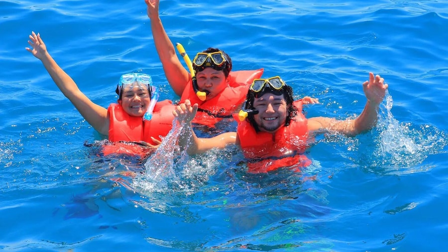 Shared Snorkeling Catamaran with Open Bar & Music - Los Cabos