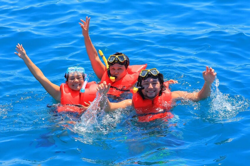 Shared Snorkeling Catamaran with Open Bar & Music - Los Cabos