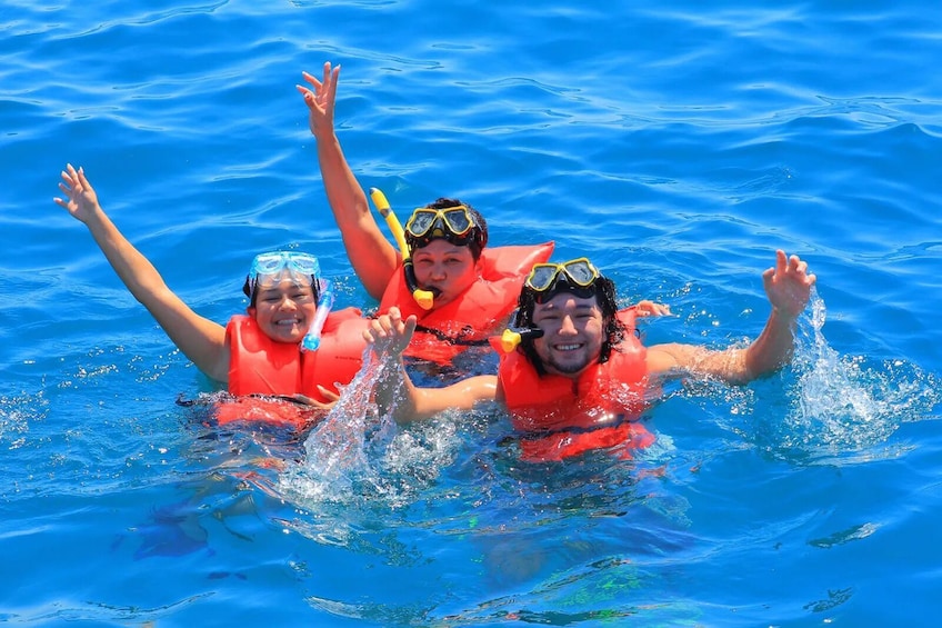 Shared Snorkeling Catamaran with Open Bar & Music - Los Cabos