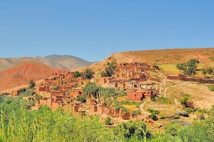 Tarroudant and Tiout from Agadir or Taghazout