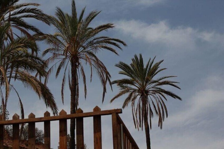 Tarroudant and Tiout from Agadir or Taghazout