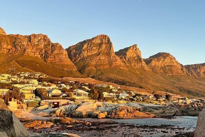 Cape of Good Hope & Penguins Full day Tour