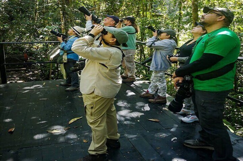 Cali Birdwatching and Botany Tour at KM18