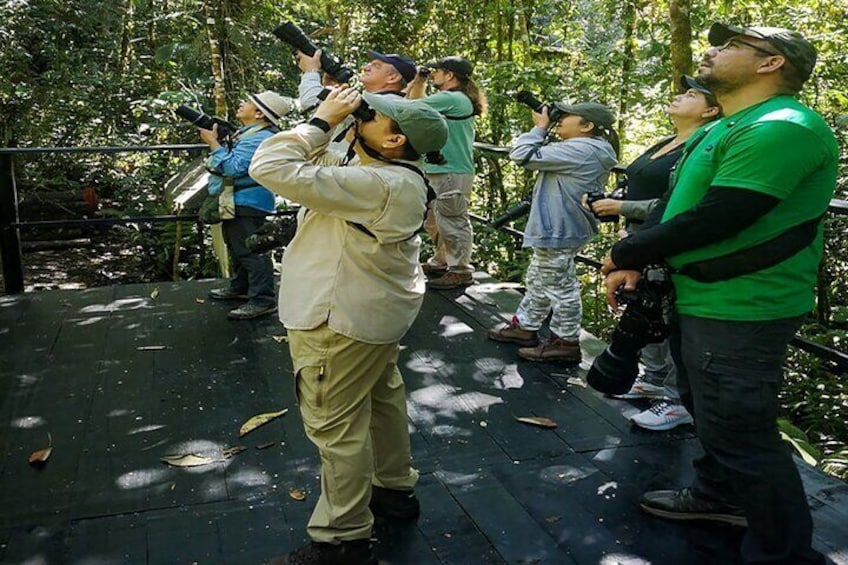Cali Birdwatching and Botany Tour at KM18