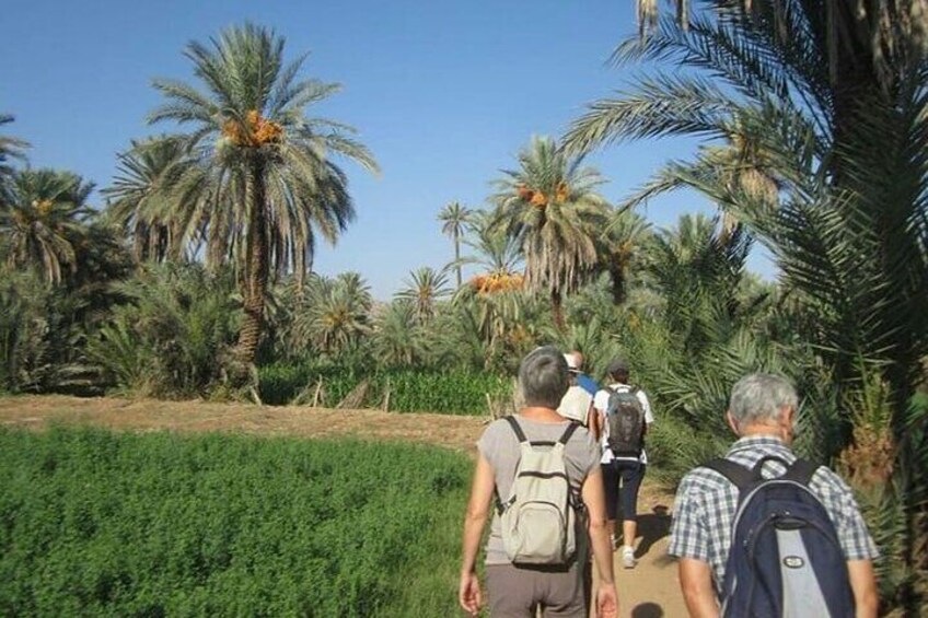 Taroudant and Tiout Day Trip from Agadir or Taghazout