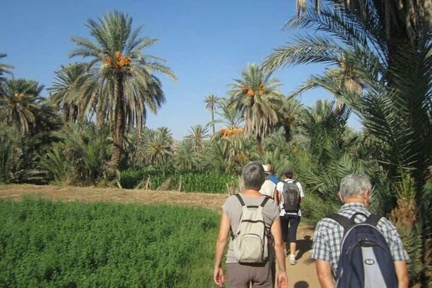Taroudant and Tiout Day Trip from Agadir or Taghazout