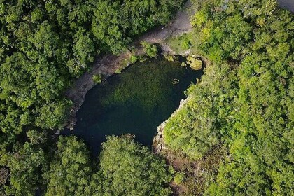 Private Jeep Cenotes Expedition in Cozumel