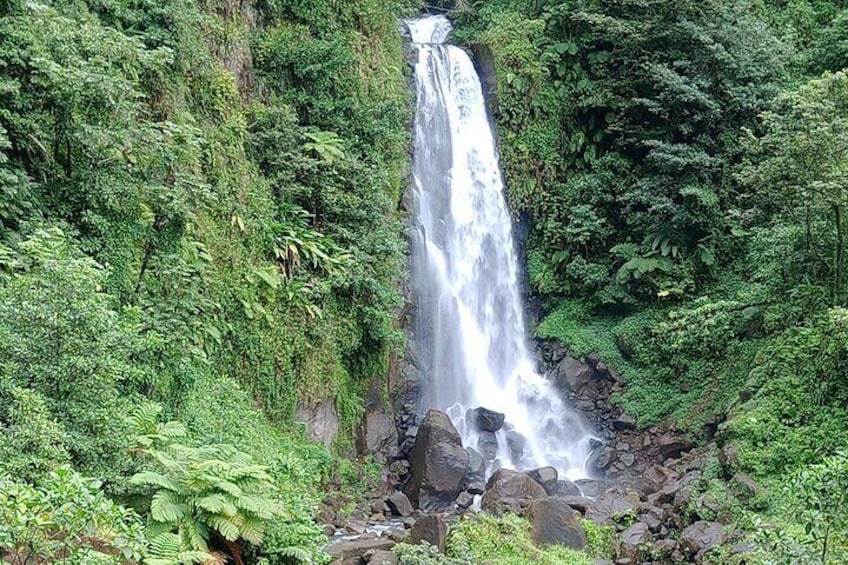 The female of the twin Trafalgar falls. This on is 75 tall