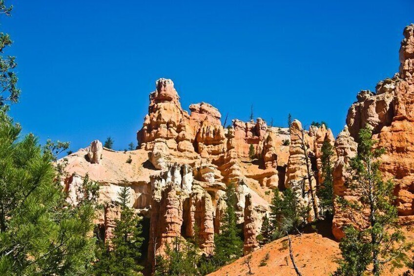 Self Guided Audio Tours at Zion, Bryce, and Capitol Reef 