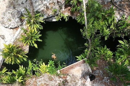 Private Jeep Cenotes Expedition in Cozumel