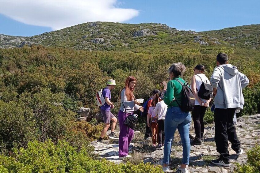 Natural History Guiding Cave and Nature of Petralona Halkidiki 