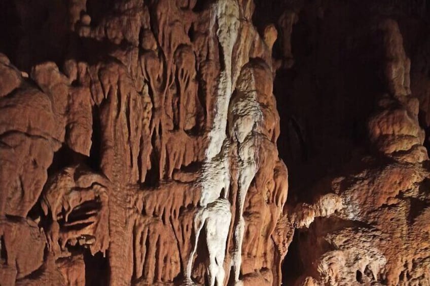 Natural History Guiding Cave and Nature of Petralona Halkidiki 