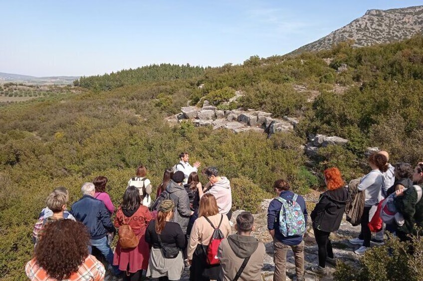 Natural History Guiding Cave and Nature of Petralona Halkidiki 