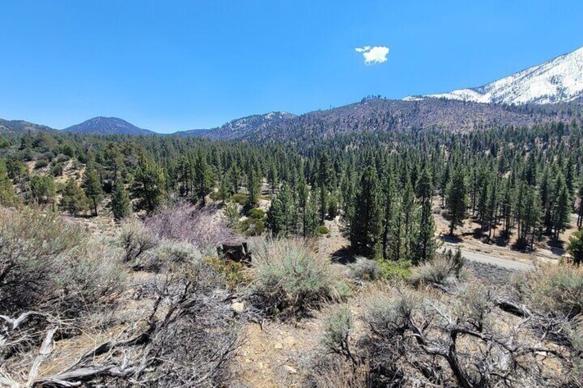 Two Day Camping and Hiking Adventure in Idyllwild from San Diego