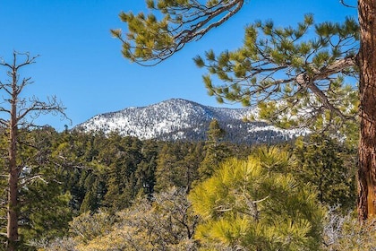 From San Diego: Two-Day Camping and Hiking Adventure in Idyllwild