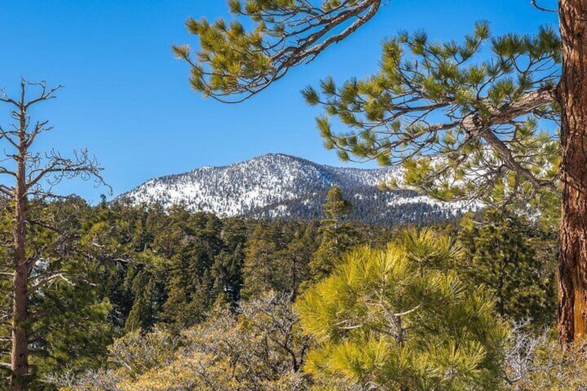 Two Day Camping and Hiking Adventure in Idyllwild from San Diego