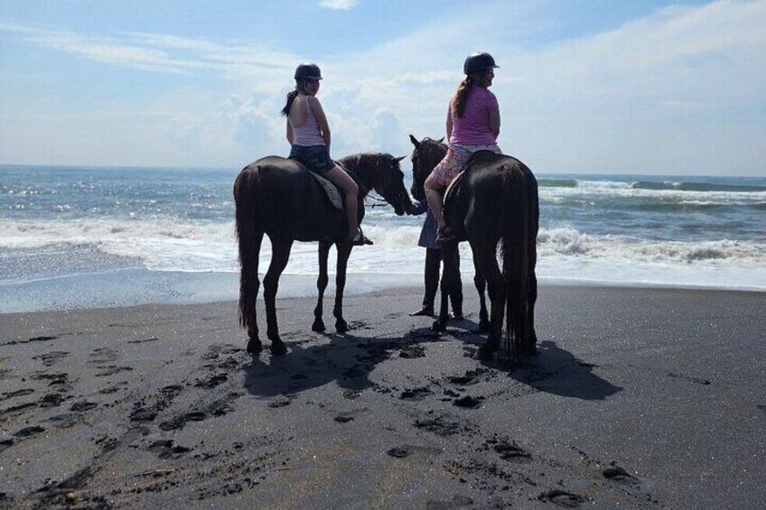 Saba horse ridding