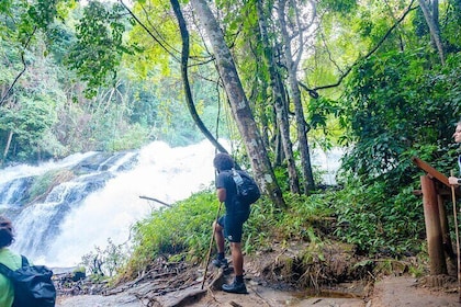 Chiang Mai ATV Tour, Doi Inthanon Trekking, and Elephant Watching