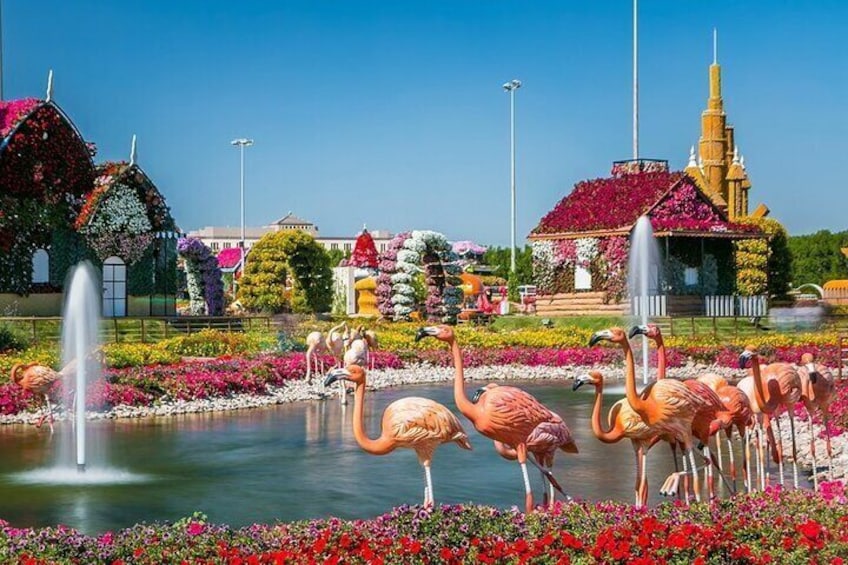 Miracle Garden&Global Village,Private Transfer,Free Entry Tickets