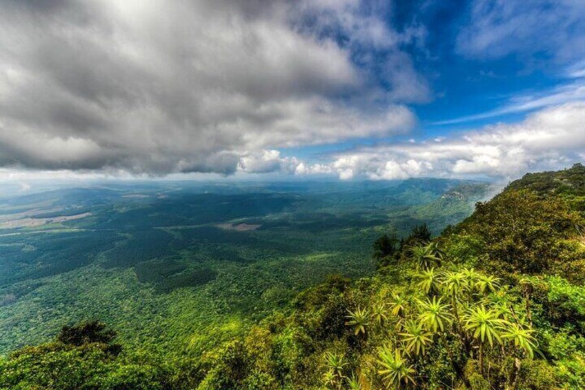 Panoramic Tour