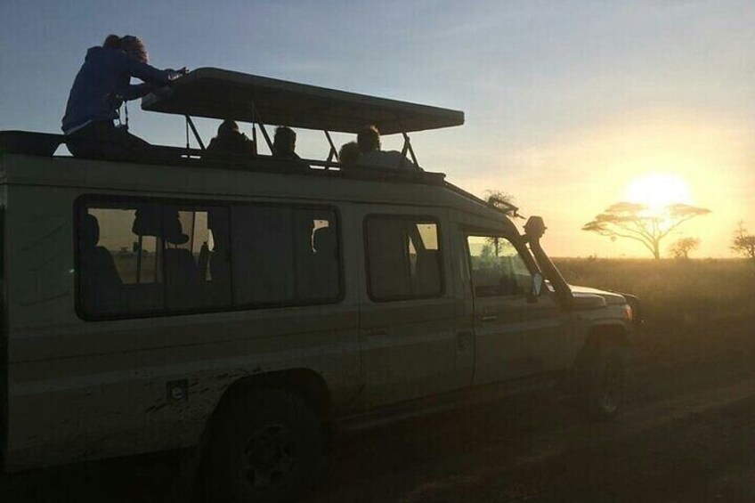  3 days Serengeti & Ngorongoro Group Safari