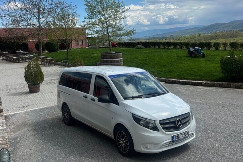 Private Day Trip from Thessaloniki to Vergina, Naousa, and Edessa