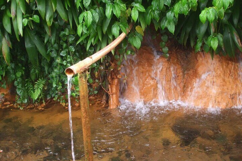 Dominica Treasures Titou Gorge, Waterfalls and Sulfur Spa