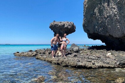 #1 Beach in La Paz BALANDRA Swim w/ Sea Lions and Beach Lunch