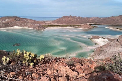 Balandra and Swim with Sea Lions Private Boat Groups up to 12