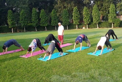 Ancient Yoga Private Class in Varanasi