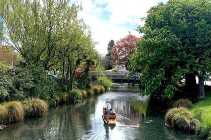 Christchurch City Top Sights Half Day Tour(Small Group Tour)